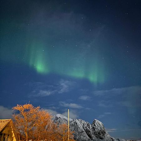 Hovesbua Rorbu - Fisherman Cabin Villa Sørvågen Dış mekan fotoğraf