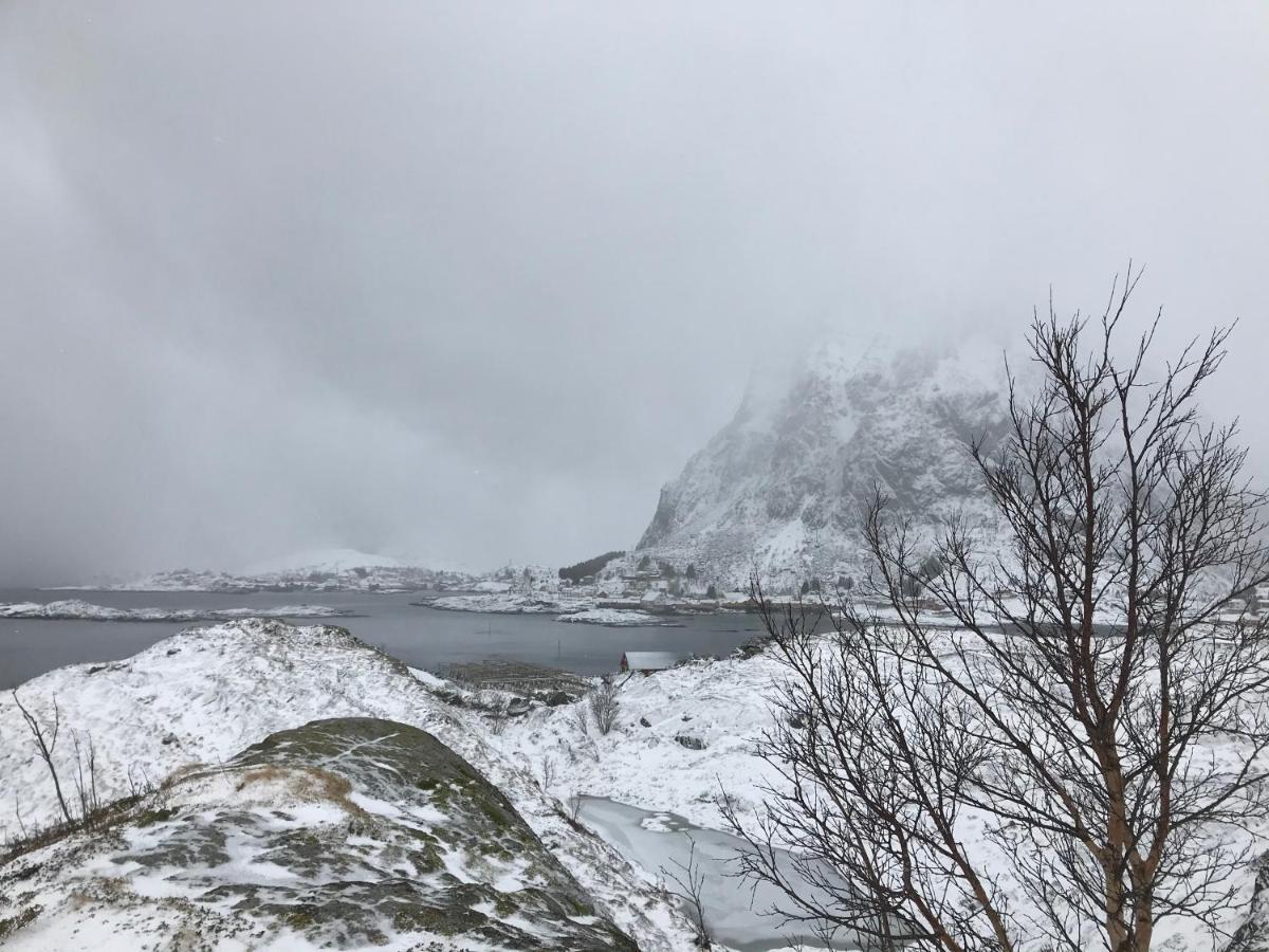 Hovesbua Rorbu - Fisherman Cabin Villa Sørvågen Dış mekan fotoğraf